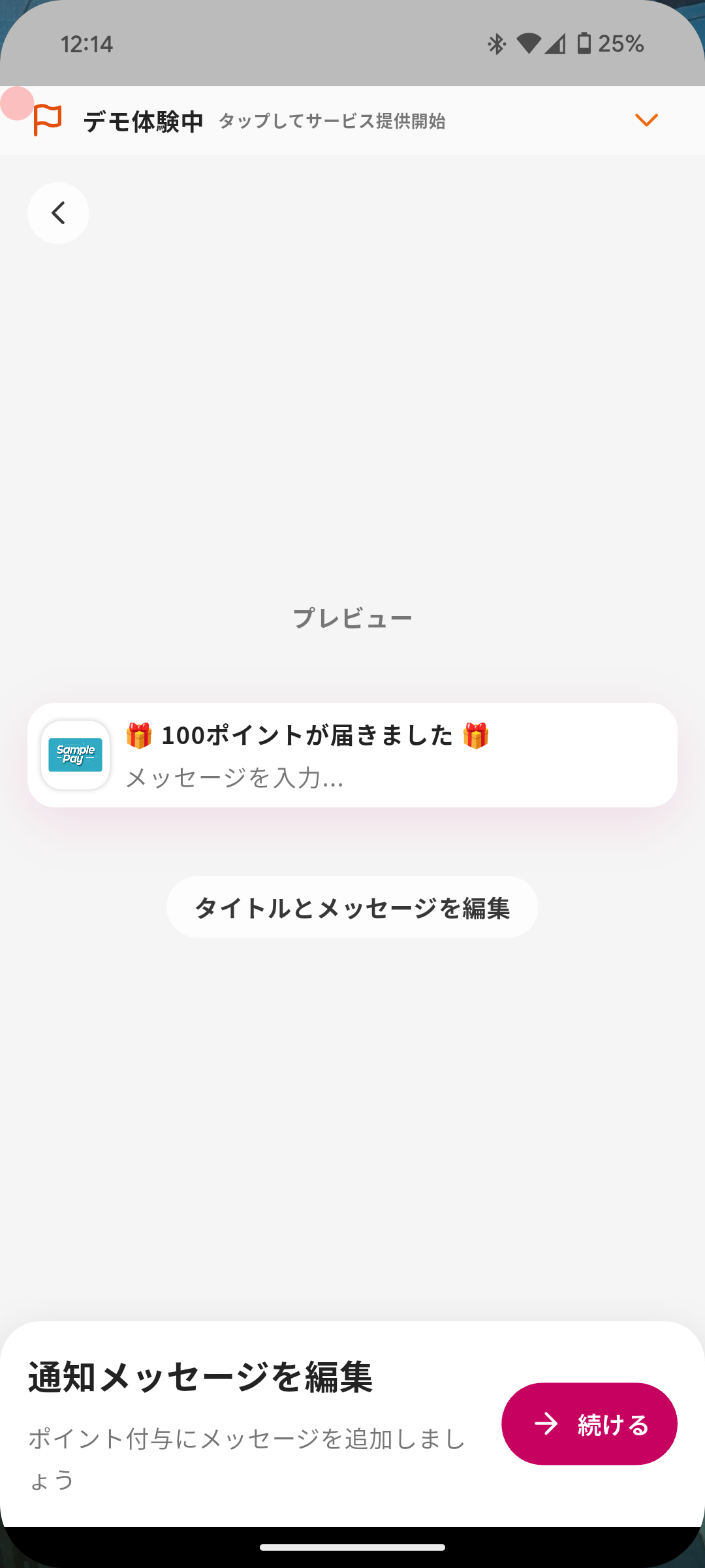Point reward amount input